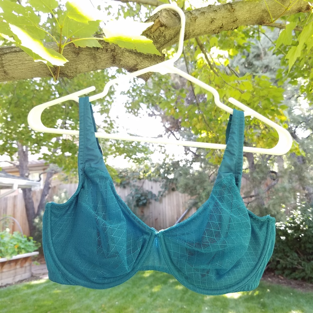 She Walks In Beauty + Light Mesh Bra Teal Blue 38D